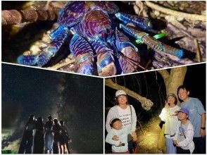 【宮古島/100%邂逅椰子蟹】★叢林夜遊★《深受小朋友喜愛》當天開放☆星空攝影☆贈送開幕紀念貼紙☆