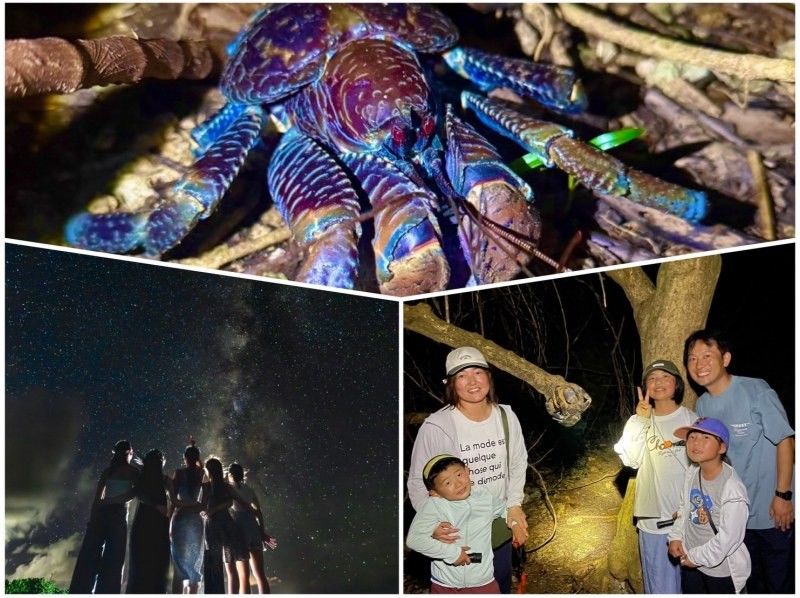 【宮古島/100%邂逅椰子蟹】★叢林夜遊★《深受小朋友喜愛》當天開放☆星空攝影☆贈送開幕紀念貼紙☆の紹介画像