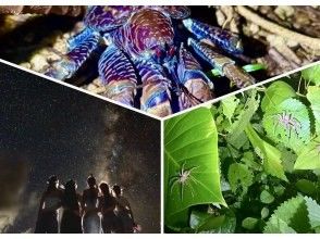 【宮古島/夜の定番】★ジャングルナイトツアー★《家族、子供に大人気》当日OK☆星空撮影OK☆オープン記念ステッカープレゼント☆