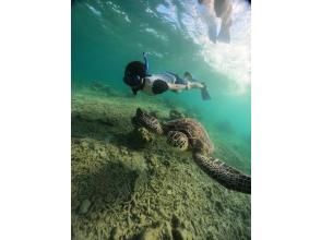 【石垣島・川平湾】迷ったらこれ！初心者大歓迎！石垣島の海でシュノーケリング★ウミガメ遭遇率99％★写真動画サービスあり（米原・伊原間・大崎）