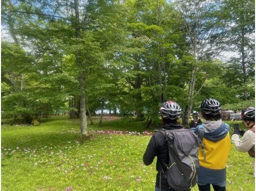 [Limited Tour] Oku-Nikko Primrose Cycling -Let's go see the Primroses on an E-Bike (Electric Assist Bicycle)-の画像
