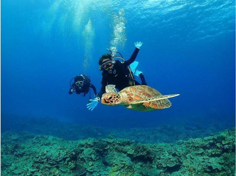 【北海道・SUP体験】透明度の高い支笏湖の湖面をクルージング！SUP体験（半日コース）の画像