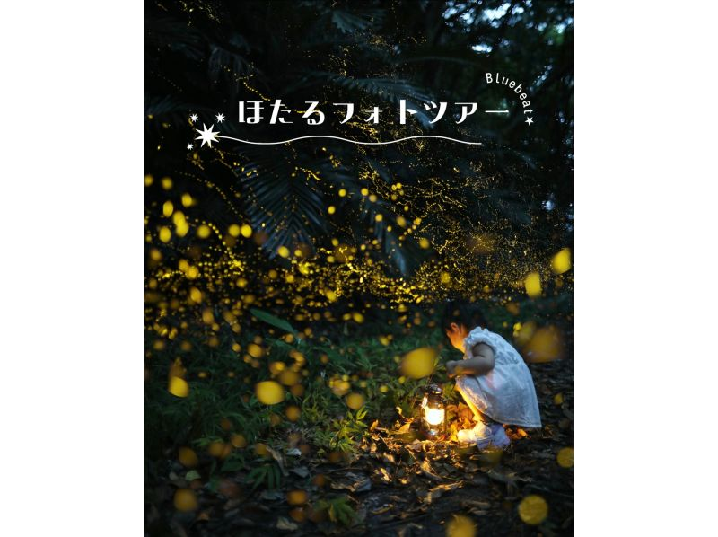 春割！【沖縄・石垣島】１日１組様限定・ほたるフォトツアーの紹介画像