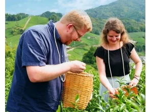 [京都·和束町] 京都高级茶园之旅＆和束町美食体验