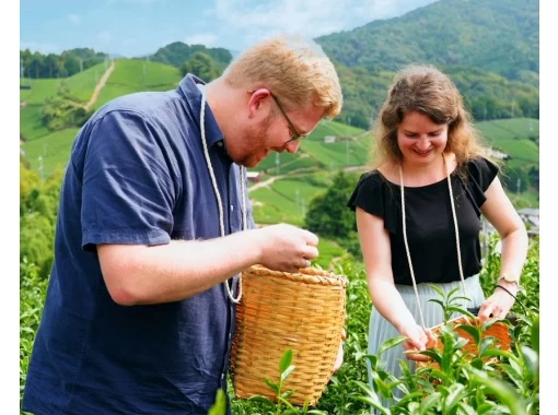 [Kyoto, Wazuka-cho] Kyoto Premium Tea Farm Tour & Gourmet Experience in Wazuka-choの画像