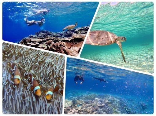 [Okinawa Miyakojima] Snorkeling tour at Yuni Beach (the phantom island) & off the coast of the triangulation point (a spectacular coral reef group) ☆ Drone photography and underwater photography included ☆ Restrooms and air conditioning are fully equipped for your peace of mind!の画像