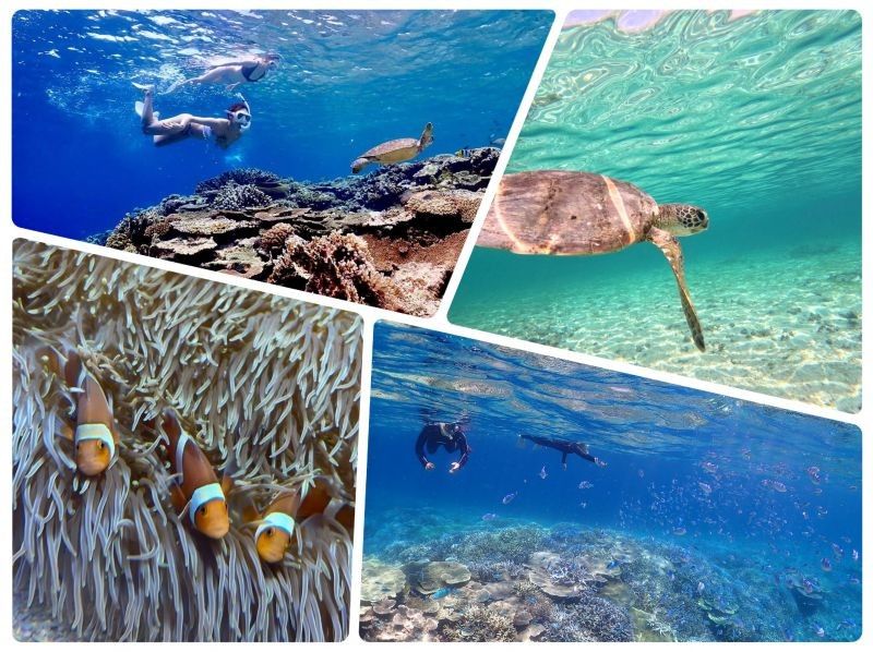 [Okinawa Miyakojima] Snorkeling tour at Yuni Beach (the phantom island) & off the coast of the triangulation point (a spectacular coral reef group) ☆ Drone photography and underwater photography included ☆ Restrooms and air conditioning are fully equipped for your peace of mind!の紹介画像