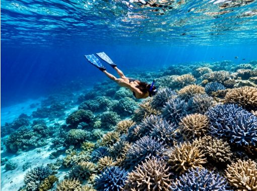 【人気NO.１】１日ツアー｜八重山が誇る綺麗な海へ！｜鳩間島・西表方面or新城島・西表方面八重山遠征｜ドローン・Gopro撮影無料の画像