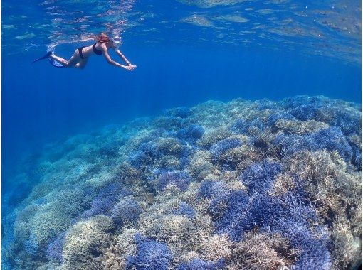 【人気NO.１】１日ツアー｜八重山が誇る綺麗な海へ！｜鳩間島・西表方面or新城島・西表方面八重山遠征｜ドローン・Gopro撮影無料の画像