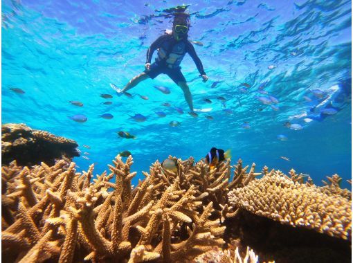 北部発・水納島半日シュノーケリング★2エントリーなので海中時間たっぷり★船酔いが心配な方に・揺れに強い大型カタマラン船★写真＆ドリンク無料★の画像