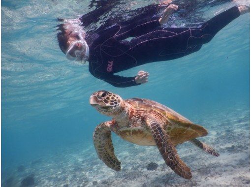 【沖縄・宮古島】ウミガメと会えるビーチでシュノーケルセット・クリアカヤックレンタルの画像