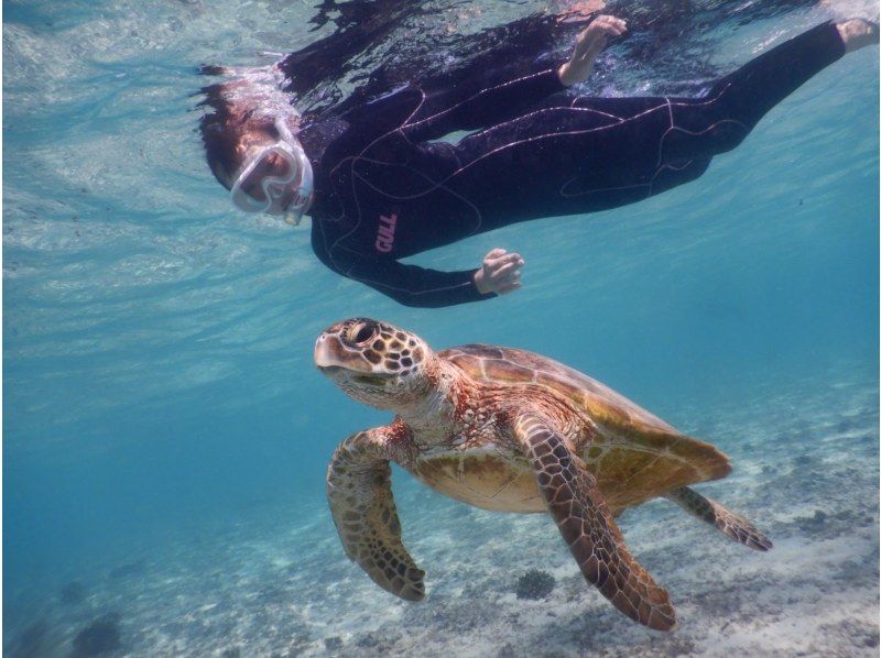 【沖縄・宮古島】ウミガメと会えるビーチでシュノーケルセット・クリアカヤックレンタルの紹介画像