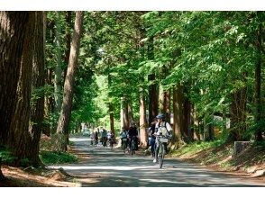 [Nagano, Ina Valley] Guided bicycle tour "Discover the charm of red pine by eating - the nature and lifestyle that has been passed down"