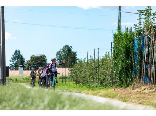[Nagano, Ina Valley] Guided bicycle tour "What I want to tell you: How delicious apples are grown"の画像