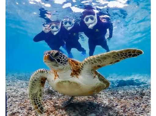 宮古島【シュノーケリング】シュノーケル初心者でも安心！《高確率でウミガメ遭遇》★データ全て無料★シュノーケルツアーの画像