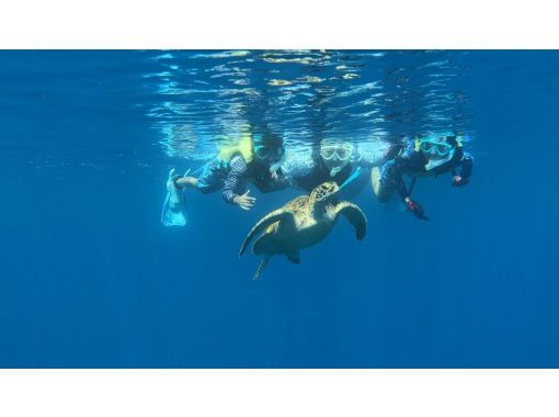【沖縄・石垣島/半日】4年間ウミガメ遭遇率100%！青の洞窟＆ウミガメシュノーケル！神秘の青と癒し(撮影データプレゼント)の画像