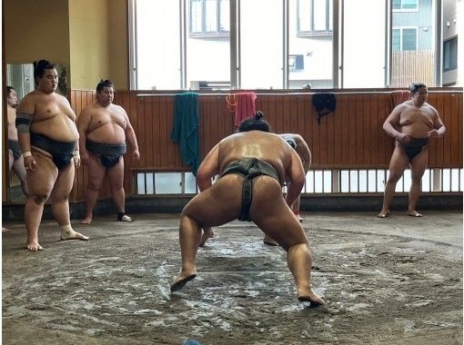 【東京】英語ガイドと行く伝統ある日本の国技「大相撲」迫力の朝稽古見学体験ツアーの画像