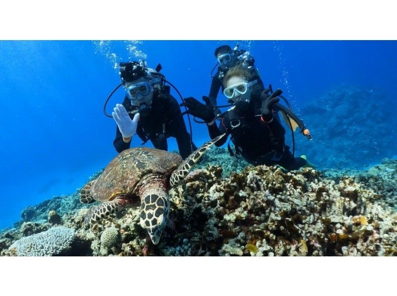 【北海道・SUP体験】透明度の高い支笏湖の湖面をクルージング！SUP体験（半日コース）の画像