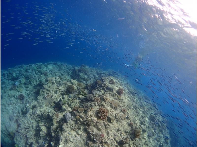 【北海道・SUP体験】透明度の高い支笏湖の湖面をクルージング！SUP体験（半日コース）の画像