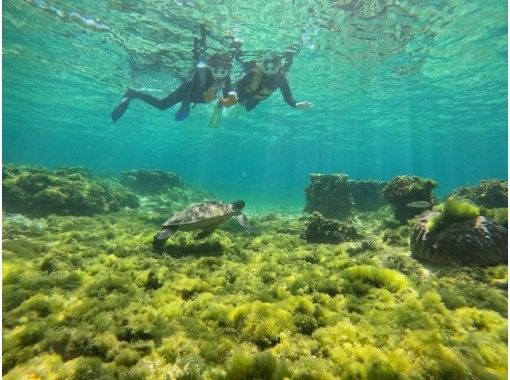 【糸満・豊見城】到着後すぐ、帰る日でも間に合う！ウミガメやカラフル熱帯魚が楽しめるジョン万ビーチでのシュノーケル！ 写真データ＆餌やり無料のの画像