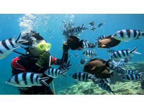 [Motobu Town, Gorilla Chop, etc.] <Experience Diving> ◆Held as a PADI program ◆Swimsuit only required from age 10 ◆GoPro photo giveaway