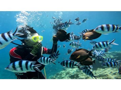 [Motobu Town, Gorilla Chop, etc.] <Experience Diving> ◆Held as a PADI program ◆Swimsuit only required from age 10 ◆GoPro photo giveawayの画像