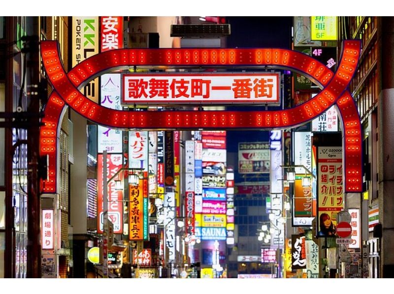 Tokyo After Dark Shinjuku Tour of Tradition and Pop Cultureの紹介画像