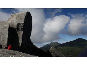 屋久島らんぶりん