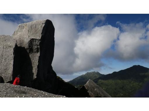 【鹿児島・屋久島】高山植物と巨石の黒味岳！貸切プライベート！巨木とコケと高層湿原に！本格登山も味わえます！の画像