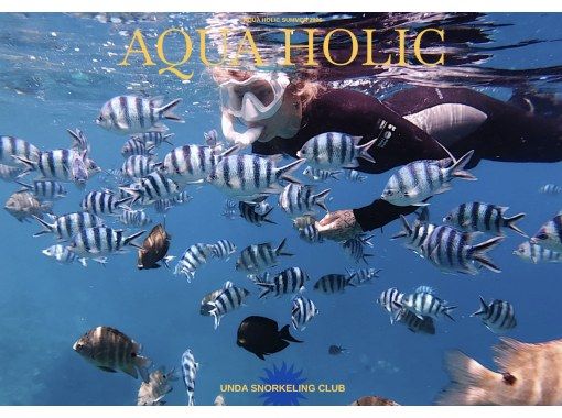 【沖縄・青の洞窟】1日5組限定！完全貸し切りシュノーケル体験（水中写真&動画・餌付け体験無料 ）6歳-60歳参加OKの画像