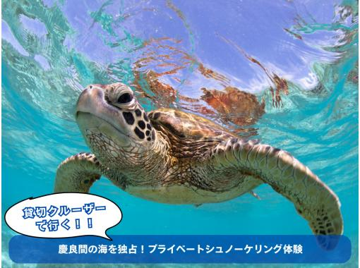 [冲绳西海岸]独家进入庆良间海！包船私人浮潜体验[180分钟]の画像