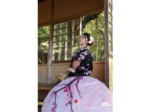 ベーシック着物（普通和服）