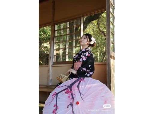 ベーシック着物（普通和服）の画像