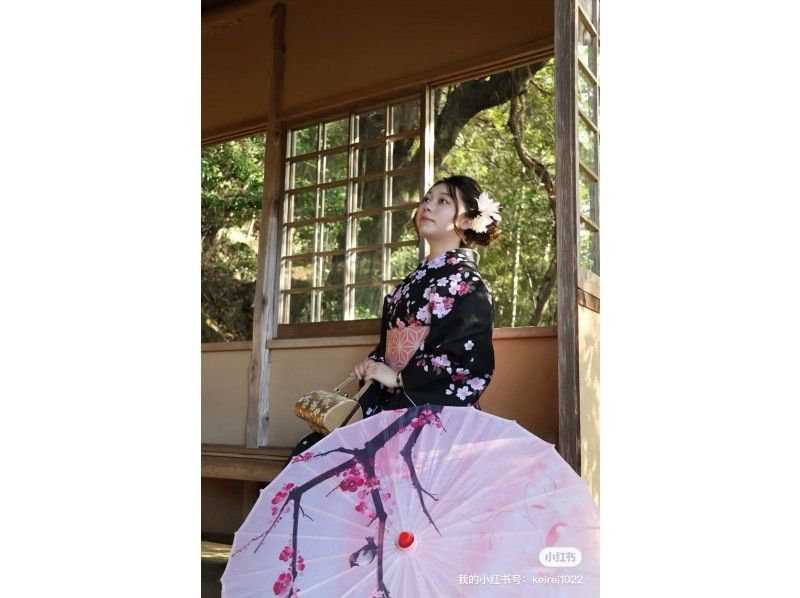 Basic kimono (regular Japanese clothing)の紹介画像