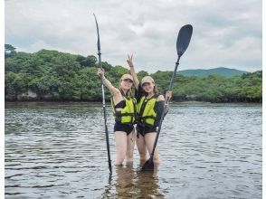 【西表島/半日プラン】仲間川マングローブカヌー　大人・お子様も一緒に楽しめる大人気体験ツアー