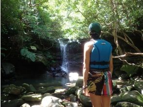 【西表島/半日ツアー】神秘のクーラ滝トレッキング！雨でも楽しいツアーです！！