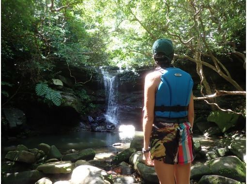 【西表島/半日ツアー】神秘のクーラ滝トレッキング！雨でも楽しいツアーです！！の画像