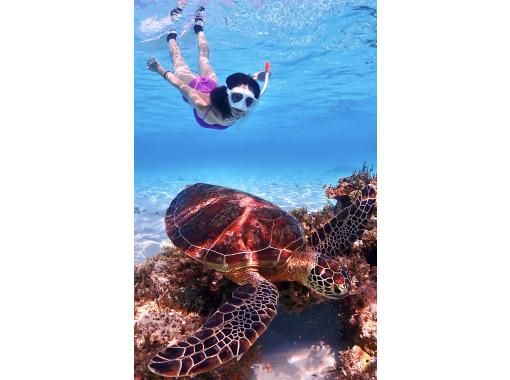 【沖縄・宮古島】写真に自信あり！うみがめ遭遇率100%継続中！うみがめシュノーケルツアー（高性能レンズ付き水中カメラ使用）の画像