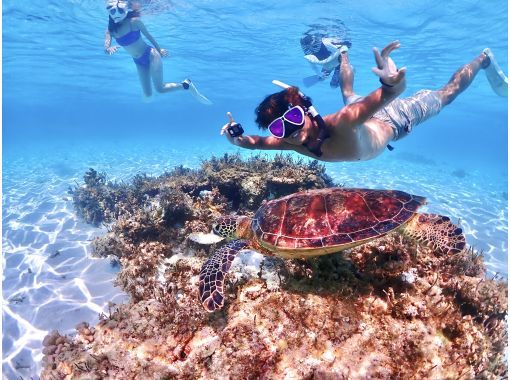 【沖縄・宮古島】写真に自信あり！うみがめ遭遇率100%継続中！うみがめシュノーケルツアー（高性能レンズ付き水中カメラ使用）の画像