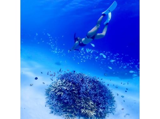 [Okinawa, Kerama Islands] Enjoy the beautiful sea of Zamami Island! A guided snorkeling tour that even beginners can enjoy!の画像