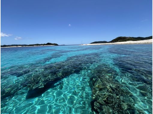 [Okinawa, Kerama Islands] Enjoy the beautiful sea of Zamami Island! A guided snorkeling tour that even beginners can enjoy!の画像