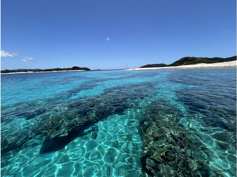 [Okinawa, Kerama Islands] Enjoy the beautiful sea of Zamami Island! A guided snorkeling tour that even beginners can enjoy!の紹介画像