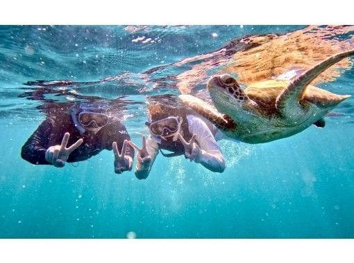 ウミガメ見れなきゃ全額返金！！【青の洞窟ウミガメシュノーケル】のんびり6人までご案内♪ゴープロ・シャワー完備！初心者大歓迎！の画像
