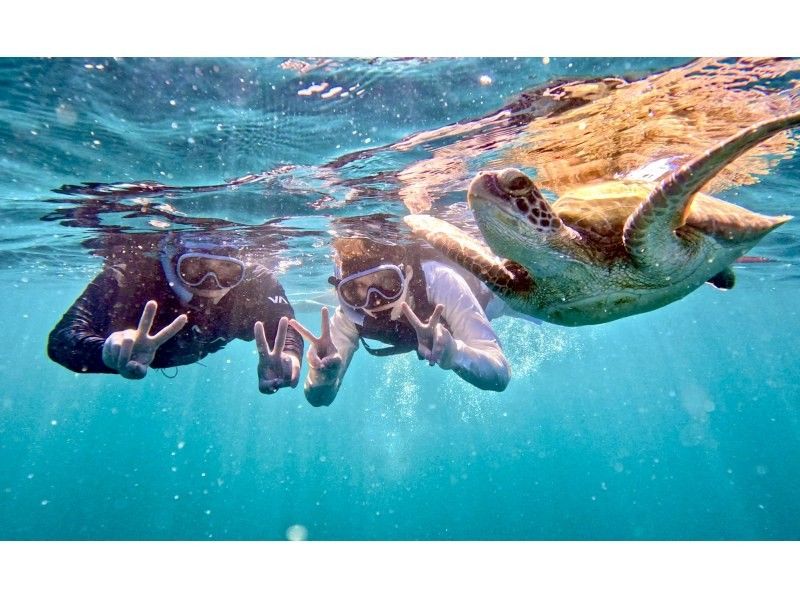 ウミガメ見れなきゃ全額返金！！【青の洞窟ウミガメシュノーケル】のんびり6人までご案内♪ゴープロ・シャワー完備！初心者大歓迎！の紹介画像