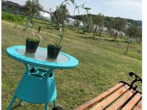 [Nara/Nara city] BBQ experience on a lush lawn! Private 6.5 hour/7 hour plan