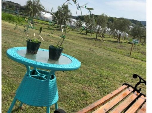 [Nara/Nara city] BBQ experience on a lush lawn! Private 6.5 hour/7 hour planの画像