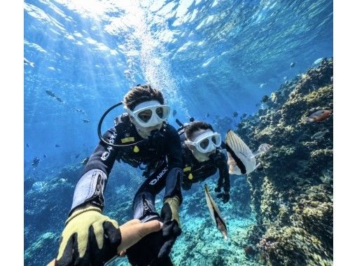 【沖縄・青の洞窟】1組貸切・専属ガイドの体験ダイビング|GoPro写真&動画無料・撮影データ即日スマホへ・初心者大歓迎・当日予約OK 【沖縄・青の洞窟】1組貸切・専属ガイドの体験ダイビング|GoPro写真&動画無料・撮影データ即日スマホへ・初心者大歓迎・当日予約OK