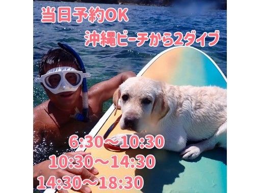 【当日予約OK】【3コース】沖縄本島でビーチからダイビング(２ダイブ)/器材レンタル込み/送迎付き /写真・動画プレゼントの画像