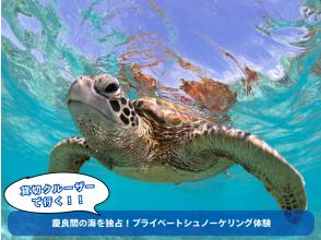 [沖繩西海岸]獨家進入慶良間海！私人浮潛體驗[180分鐘]