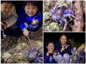 【宮古島・※5月末まで2000円】※破格ナイトツアー！アマゾンから帰ってきた男がご案内！大人も楽しめる夜の大冒険☆ようこそ非日常の世界へ。